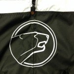 Bering-bear-logo