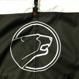 Bering-bear-logo